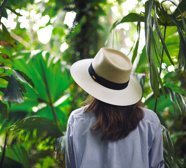 Panama straw hats from Ecuador